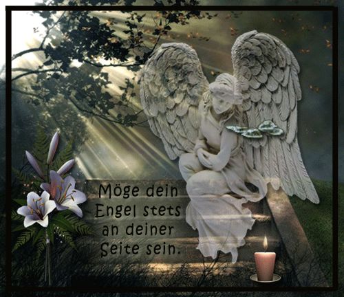 cc2a1543ec8f1e33c27663b041196af6--cgi