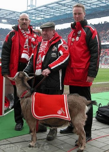 der Fahnenträger des 1.FC köln